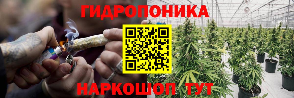 Конопля Amnesia Тольятти